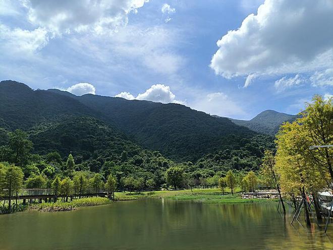 哈尔滨中央大街铺上地毯了：城市历史与现代融合的独特风景